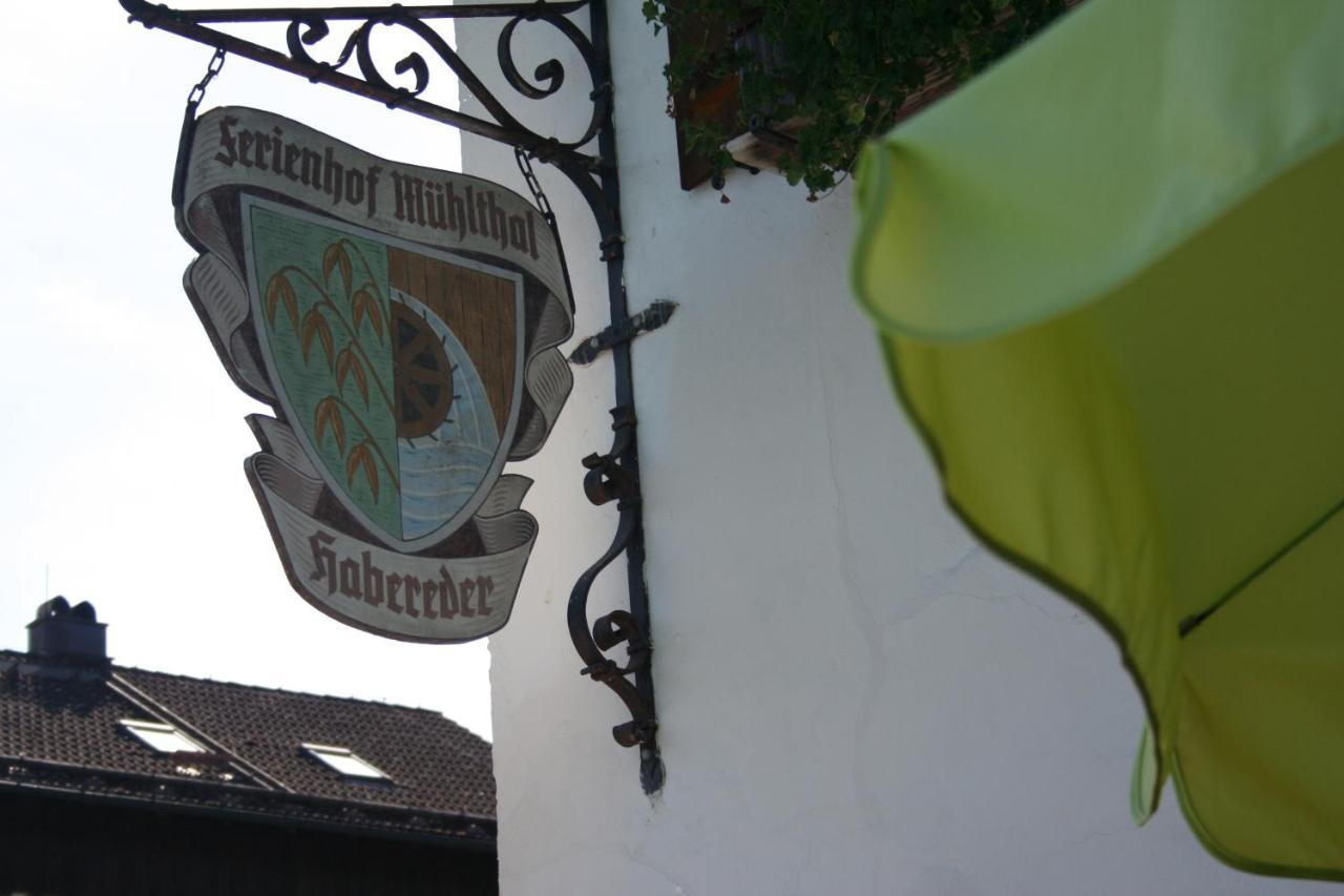 Ferienhof Muehlthal Edling Kültér fotó